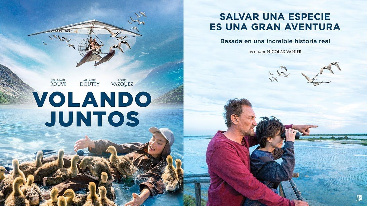 Volando juntos 2