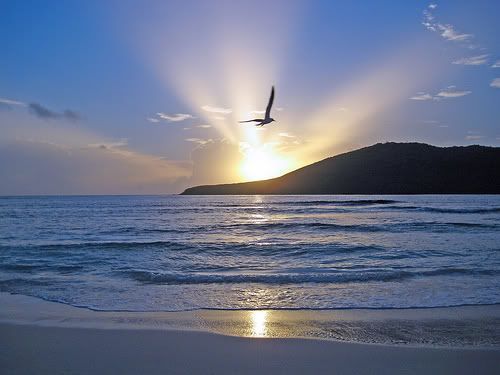 amanecer